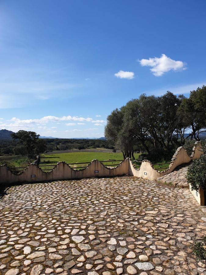 Cantina Perandria Monti Luaran gambar