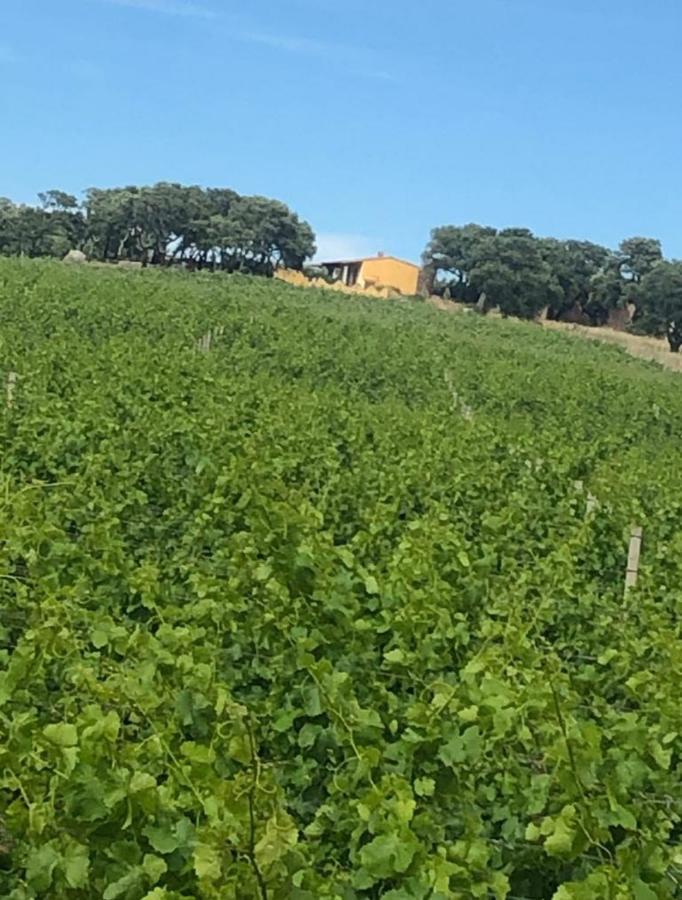 Cantina Perandria Monti Luaran gambar