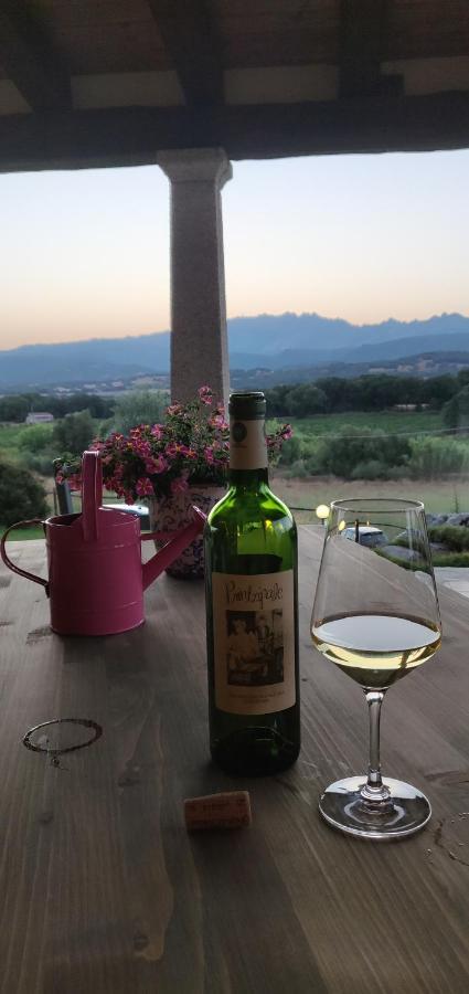 Cantina Perandria Monti Luaran gambar