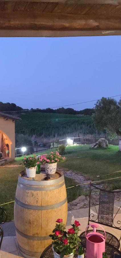 Cantina Perandria Monti Luaran gambar